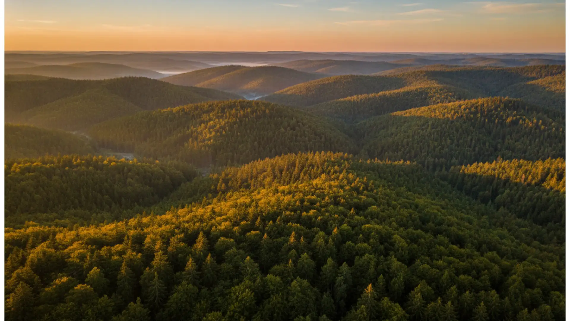 Veranstaltungen in Thüringen am 8./9. August 2026: vom See bis zu den Domstufen